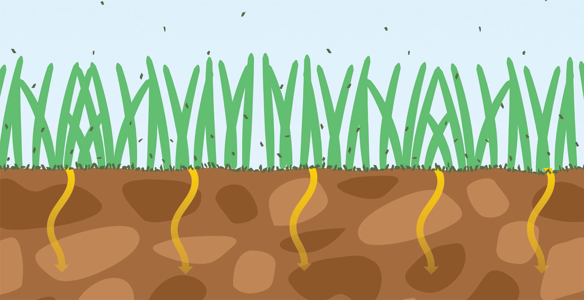 GRIN hoe het werkt 2